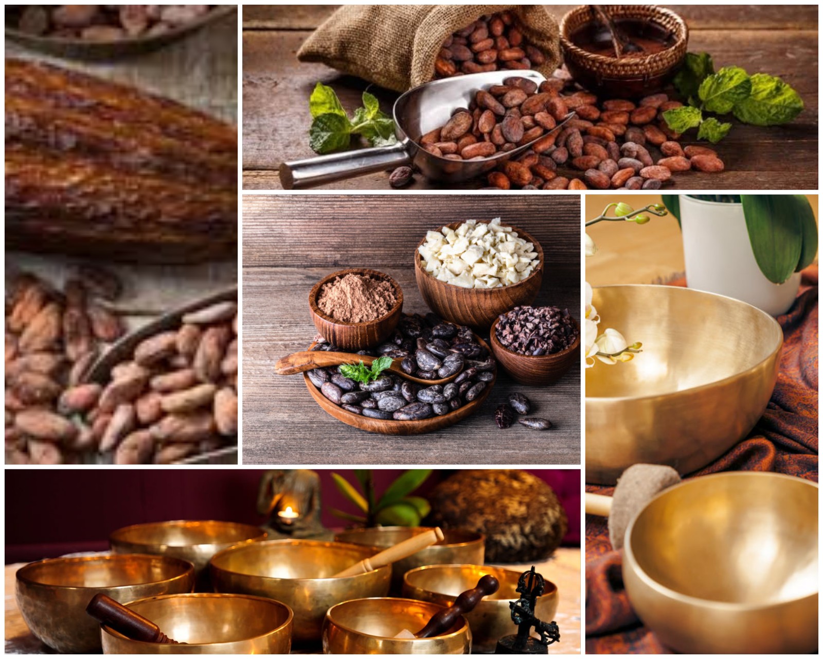 cacao